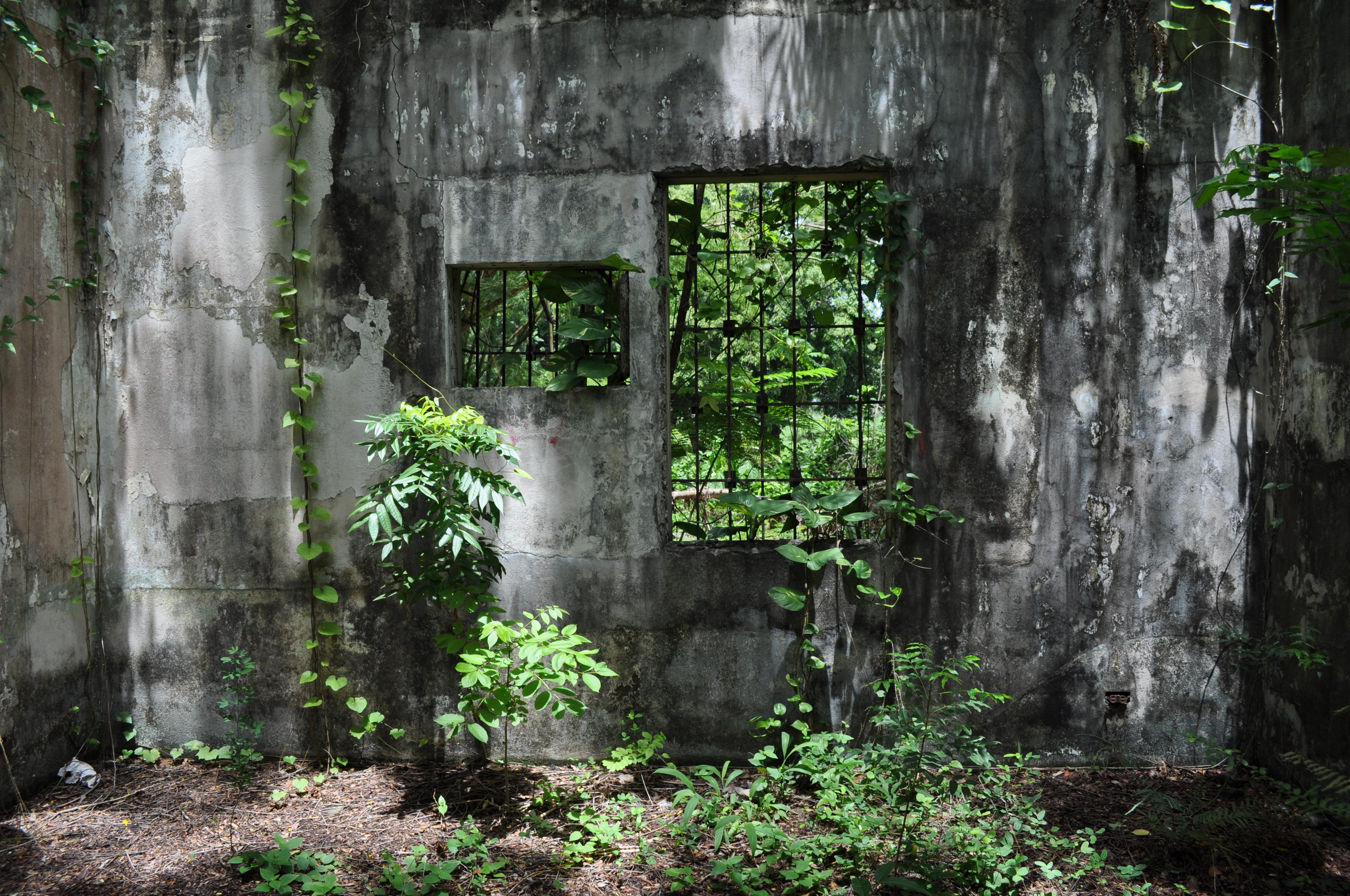Antigua Lechería y Residencia de la Facultad de la Universidad de Puerto Rico - San Juan (Río Piedras) - 2014 00019